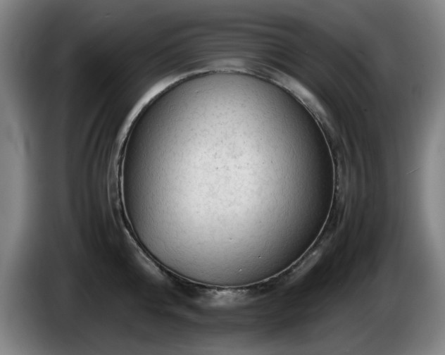 X0000086090808200703301149