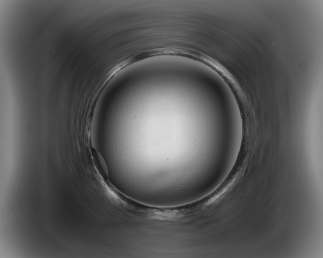 X0000086090809200703301149