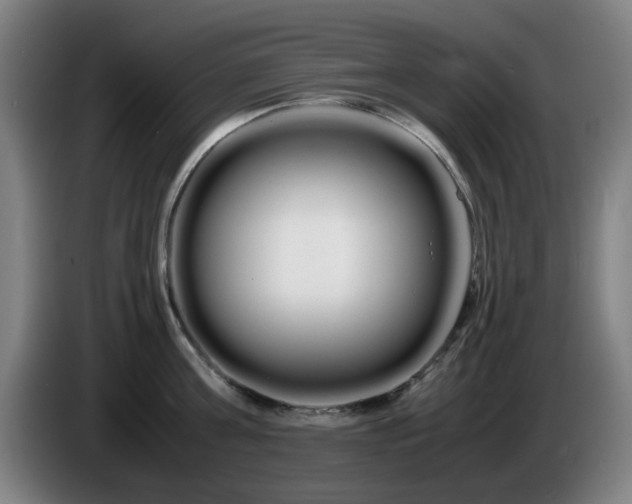 X0000086090811200703301149