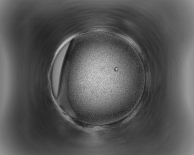 X0000086090814200703301149