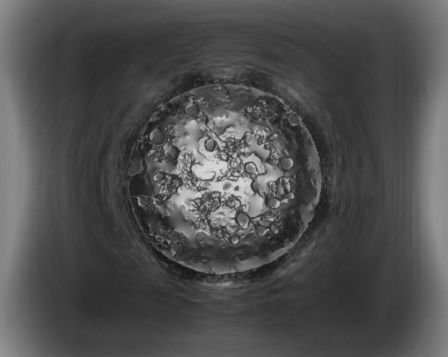 X0000086090817200703301149