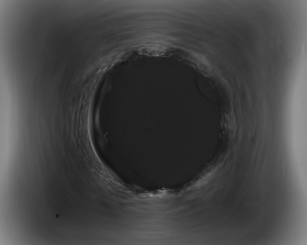 X0000086090818200703301149