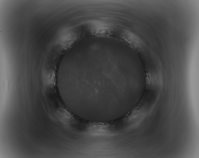 X0000086090820200703301149