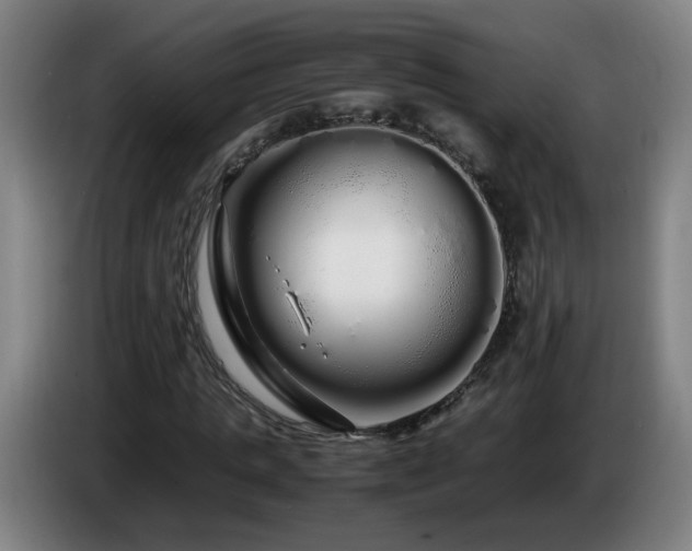 X0000086090821200703301149