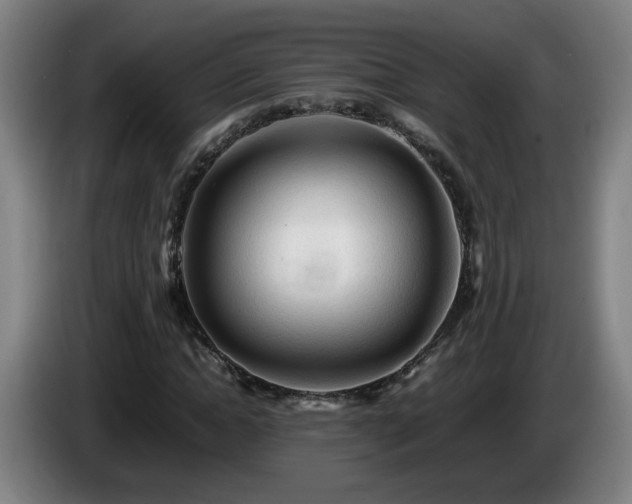 X0000086090822200703301149