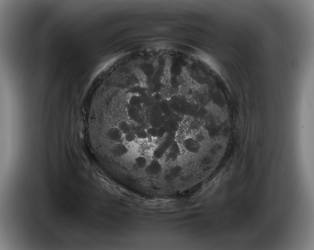 X0000086090823200703301149