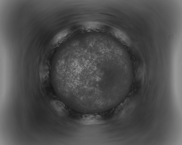 X0000086090824200703301149