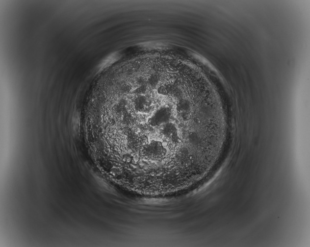 X0000086090825200703301149