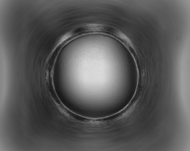 X0000086090827200703301149