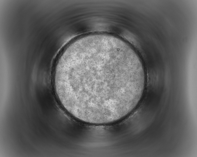 X0000086090828200703301149