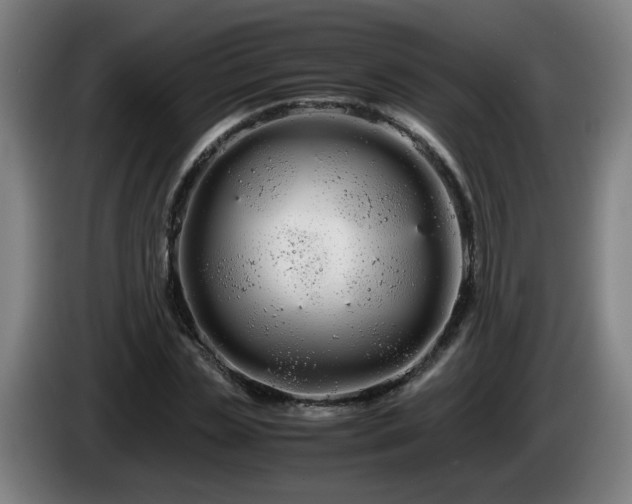 X0000086090829200703301149