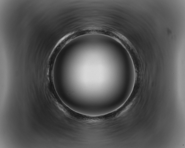 X0000086090830200703301149