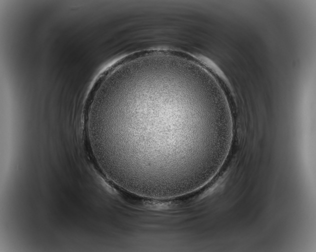 X0000086090831200703301149