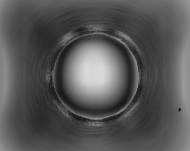 X0000086090833200703301149