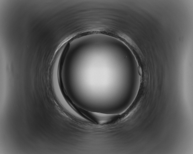 X0000086090834200703301149