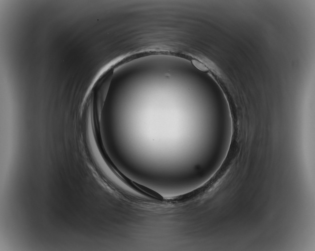 X0000086090838200703301149