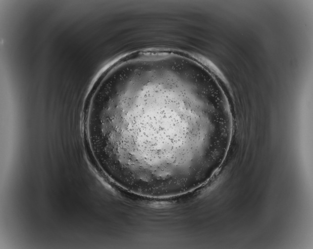 X0000086090839200703301149