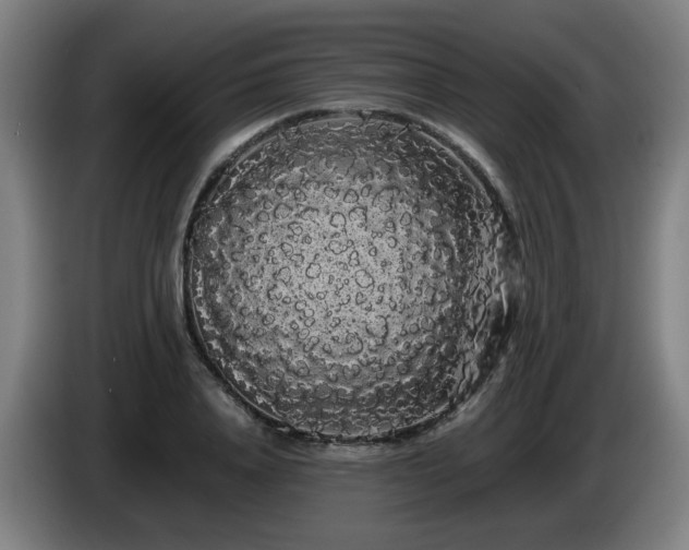 X0000086090840200703301149