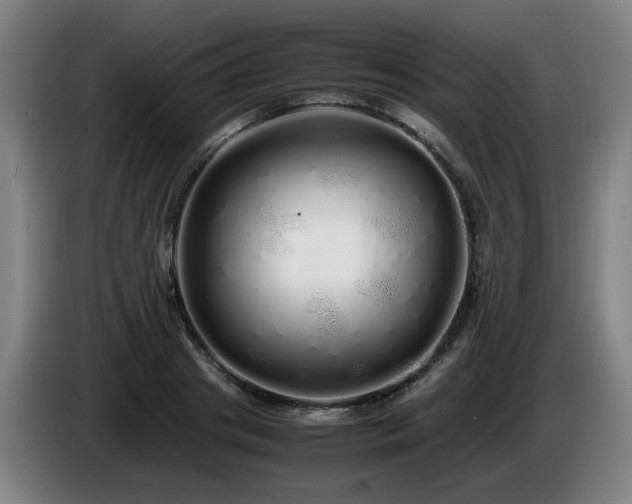 X0000086090841200703301149