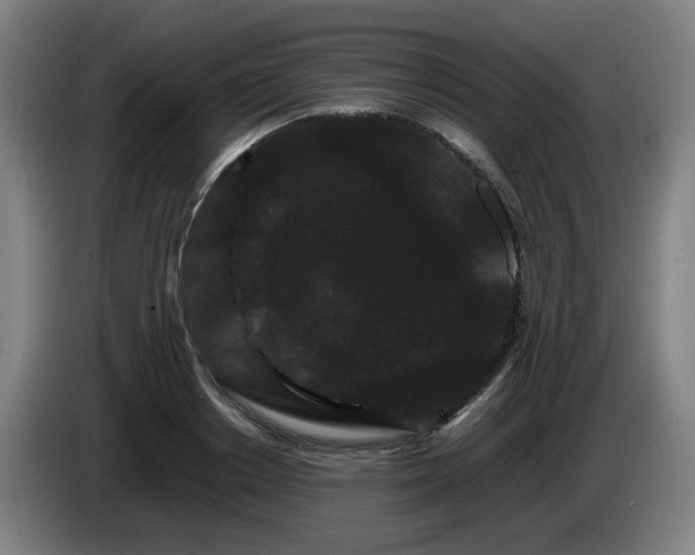 X0000086090842200703301149