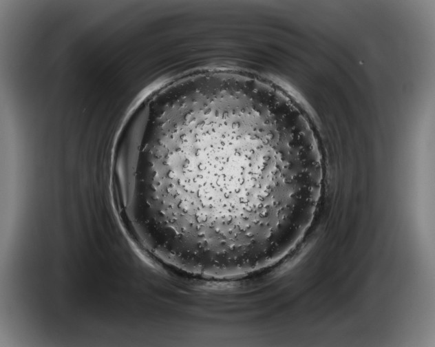 X0000086090845200703301149