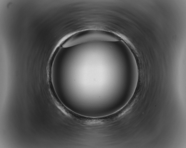 X0000086090846200703301149