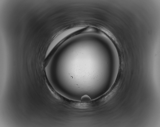 X0000086090849200703301149