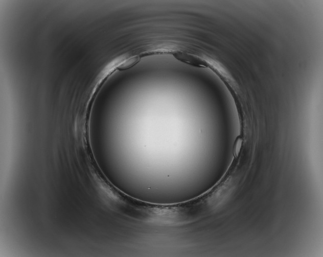 X0000086090850200703301149