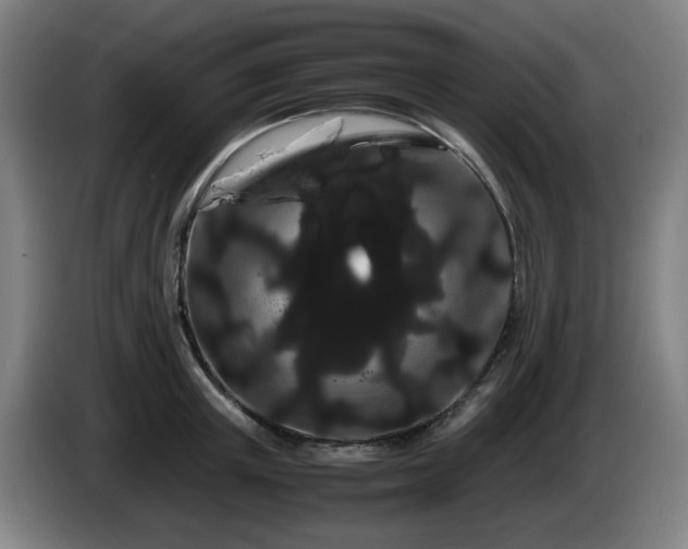 X0000086090851200703301149