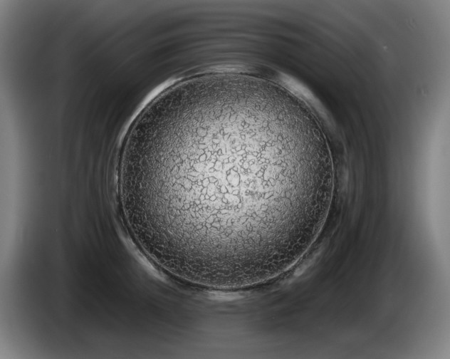 X0000086090852200703301149