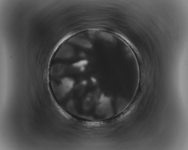 X0000086090853200703301149