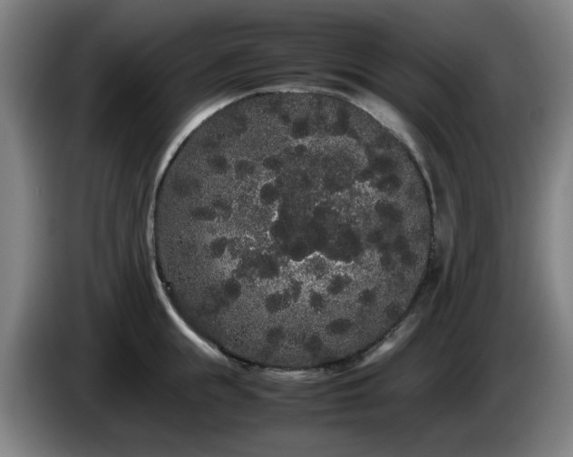 X0000086090855200703301149