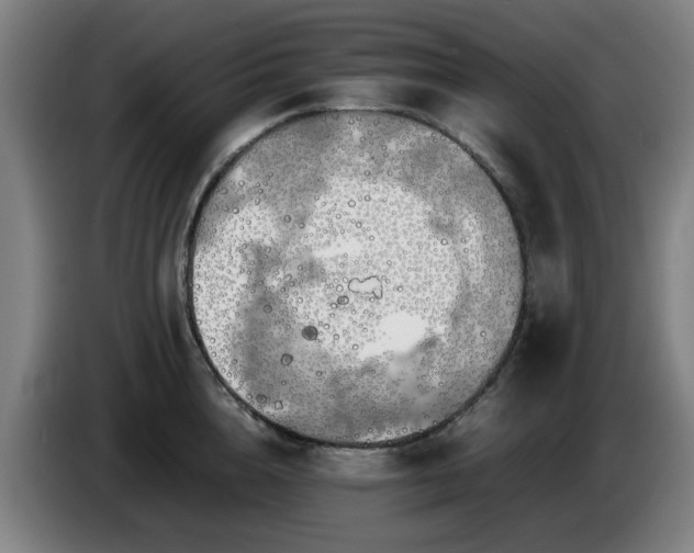 X0000086090856200703301149