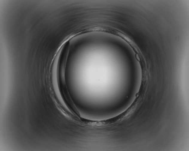 X0000086090858200703301149