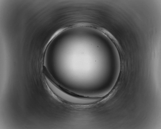 X0000086090860200703301149