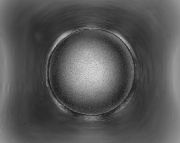 X0000086090861200703301149