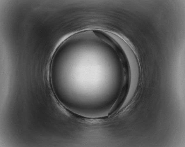 X0000086090862200703301149