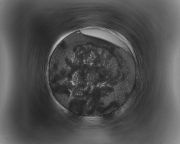 X0000086090863200703301149