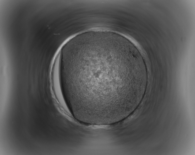 X0000086090864200703301149