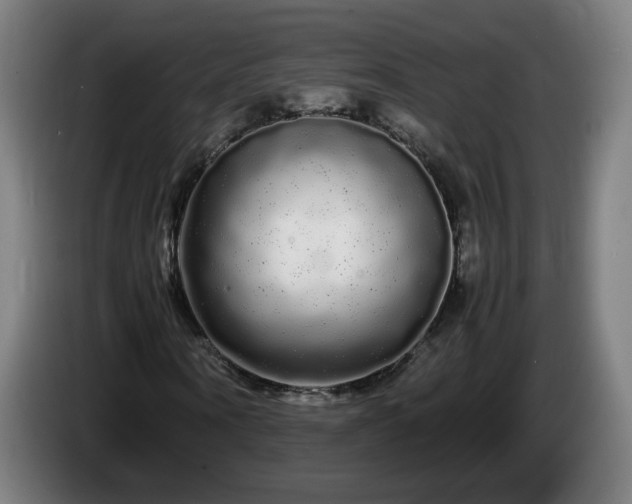 X0000086090866200703301149