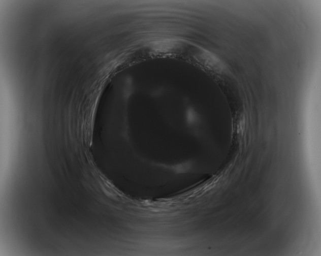 X0000086090868200703301149