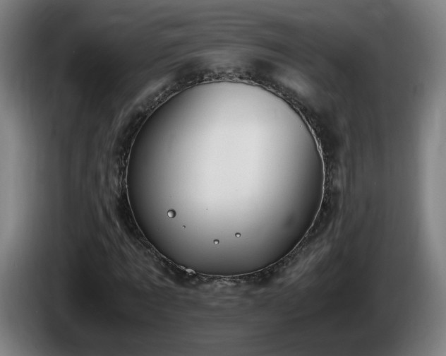 X0000086090869200703301149