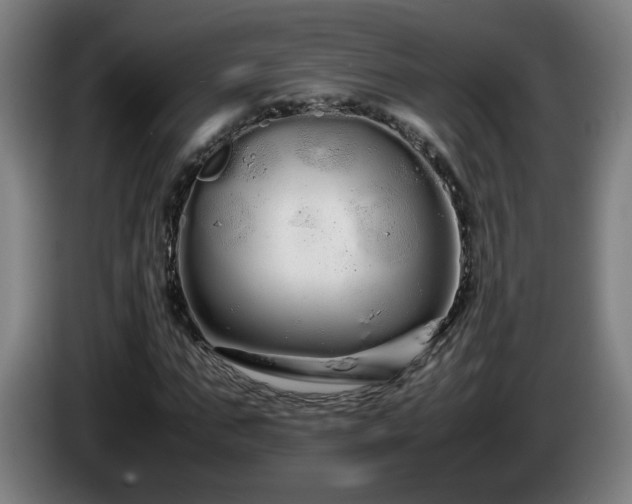 X0000086090871200703301149