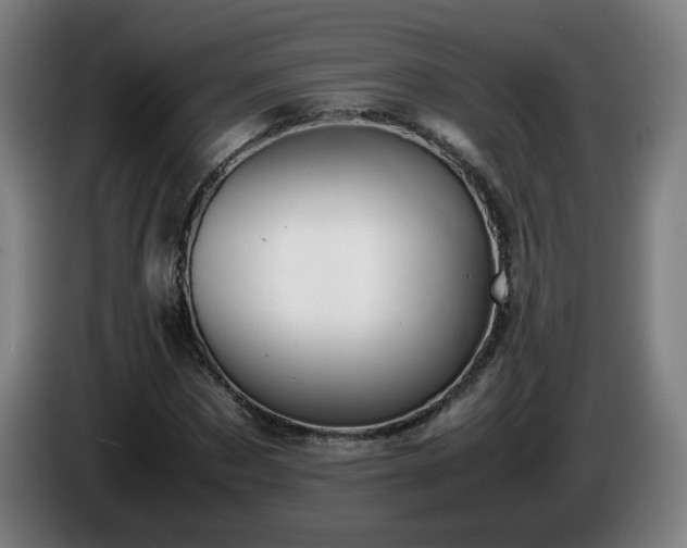 X0000086090873200703301149