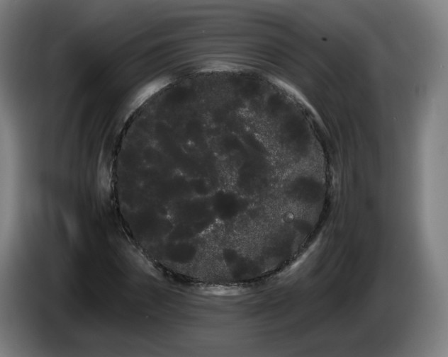 X0000086090874200703301149