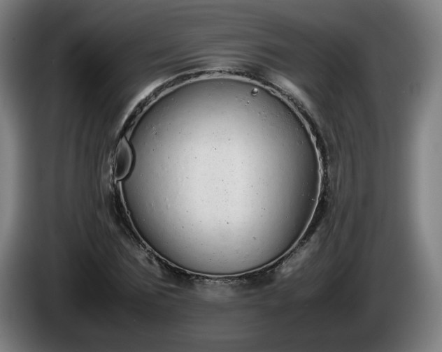 X0000086090875200703301149