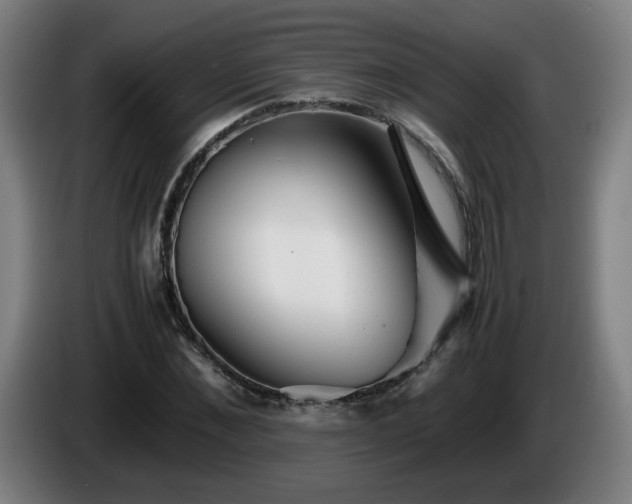 X0000086090876200703301149