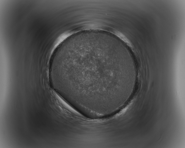 X0000086090877200703301149