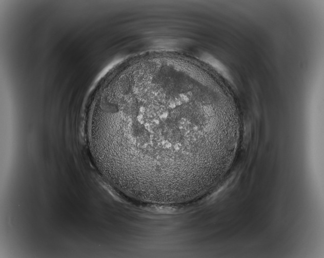 X0000086090878200703301148