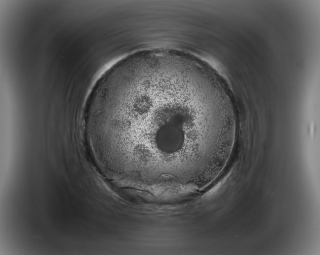 X0000086090879200703301148